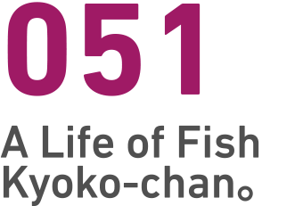 051 A Life of Fish Kyoko-chan